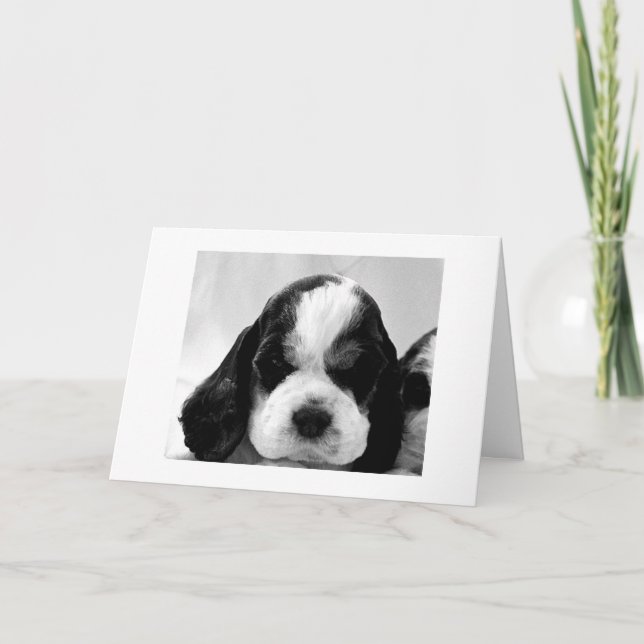 PUPPY SAYS "SAY IT ISN'T SO" 30th BIRTHDAY Card (Front)