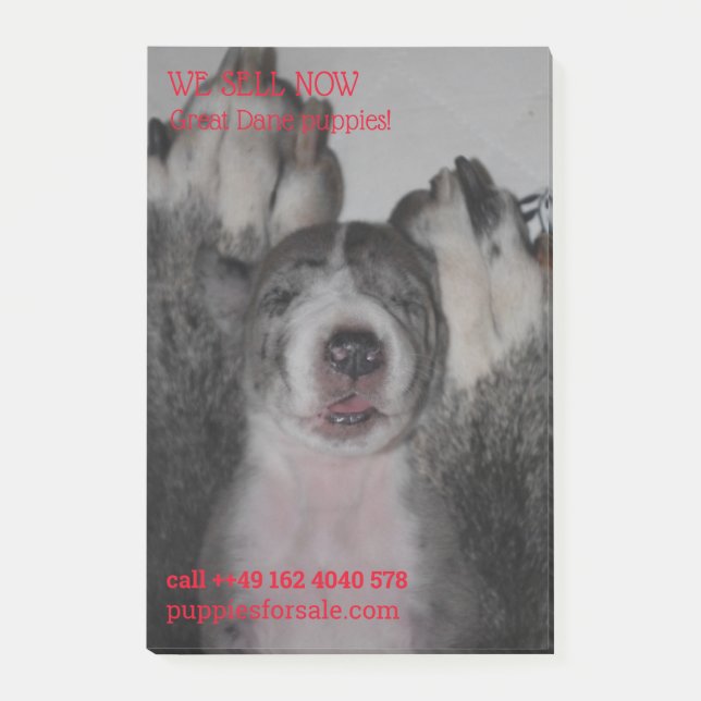Puppy selling posted notes (Front)