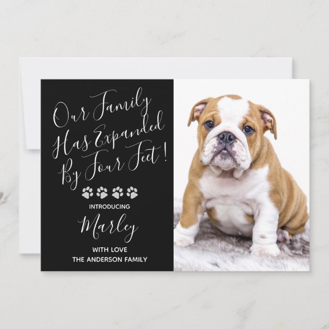 Puppy Shower Party - Elegant Black Modern New Pet Invitation (Front)