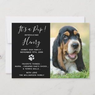 Puppy Shower Party - Elegant Modern Black New Pet Invitation