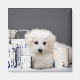 Puppy sitting amongst paint tins magnet
