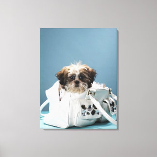 Puppy sitting in handbag canvas print