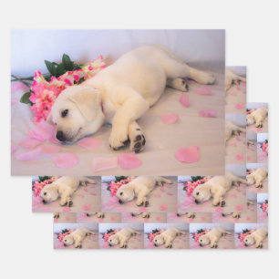 Puppy Sleep Flower 01 Wrapping Paper Sheet