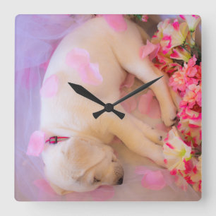 Puppy Sleepy Veil 01 Square Wall Clock