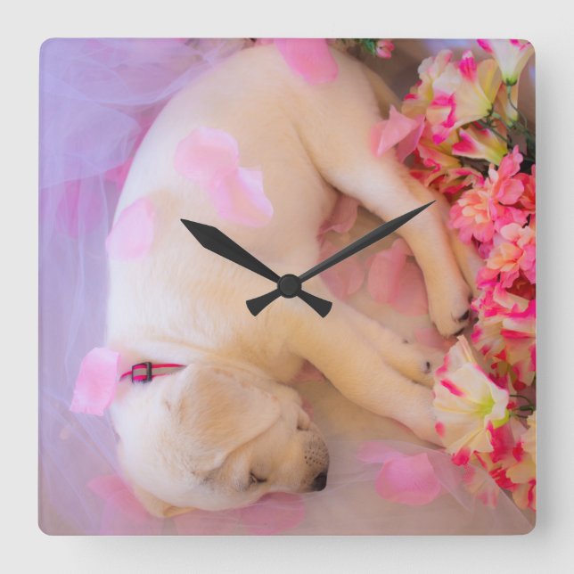 Puppy Sleepy Veil 01 Square Wall Clock (Front)