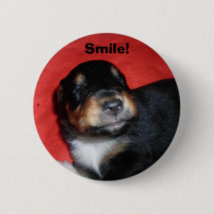 Puppy Smile 6 Cm Round Badge