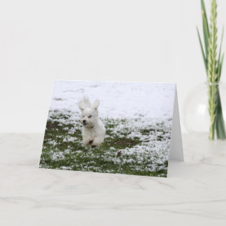 Puppy Snow Day Holiday Card