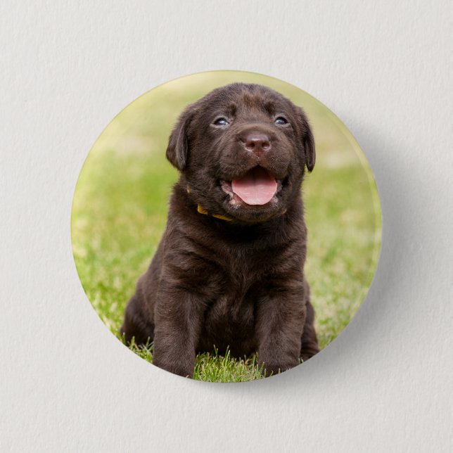 Puppy soft dog 6 cm round badge (Front)