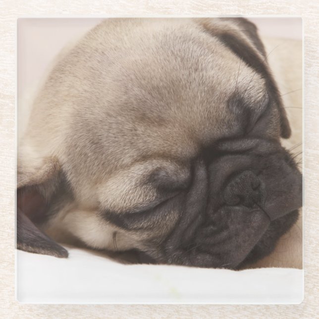 Puppy Soundly Sleeping Glass Coaster (Front)
