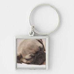 Puppy Soundly Sleeping Key Ring