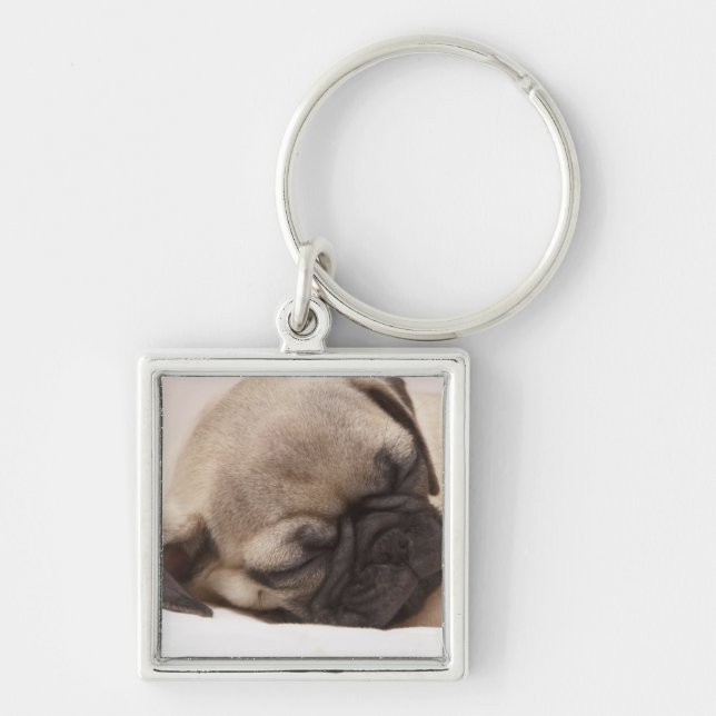 Puppy Soundly Sleeping Key Ring (Front)