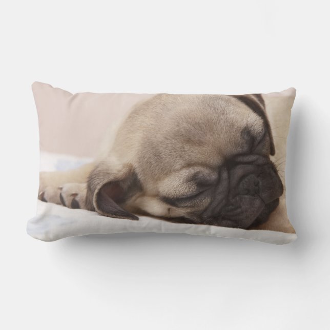 Puppy Soundly Sleeping Lumbar Cushion (Front)