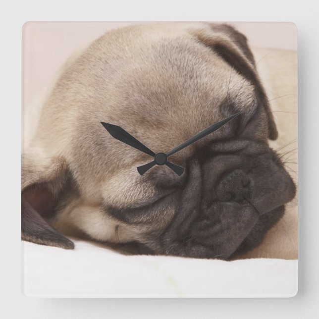 Puppy Soundly Sleeping Square Wall Clock (Front)
