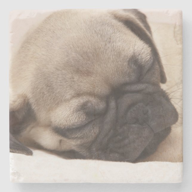 Puppy Soundly Sleeping Stone Coaster (Front)
