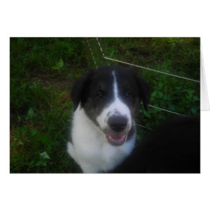 Puppy speaks card *customise*