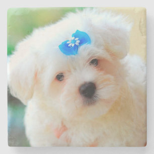 Puppy Stone Coaster