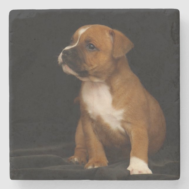 Puppy Stone Coaster (Front)