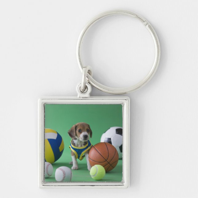 Puppy surrounded by sport balls key ring (Front)