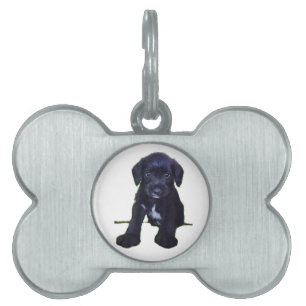Puppy Tag