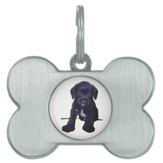 Puppy Tag (Front)