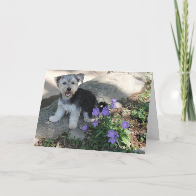 Puppy Thank You Card (Front)