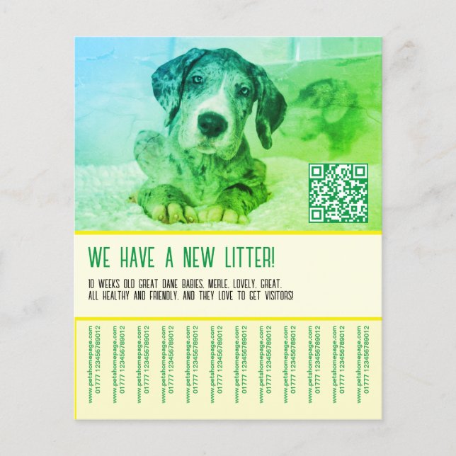 Puppy to sell template  flyer (Front)