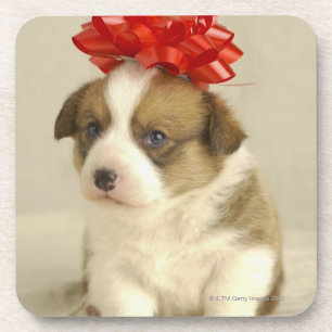 Puppy wearing a red bow coaster