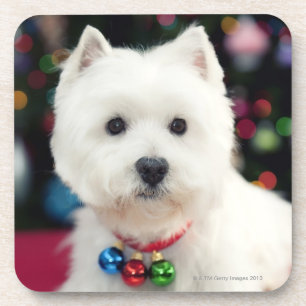 Puppy wearing Christmas bell on neck Coaster