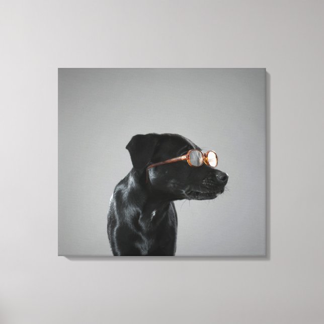 Puppy wearing glasses canvas print (Front)