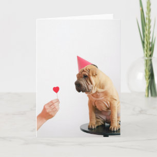 Puppy Wearing Hat Card