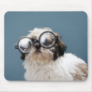 Puppy wearing thick glasses mouse pad
