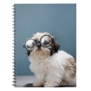 Puppy wearing thick glasses notebook