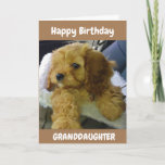 PUPPY WISHES FOR **GRANDDAUGHTER** BIRTHDAY CARD<br><div class="desc">THANK YOU SO MUCH FOR STOPPING BY ONE OF MY EIGHT STORES!!!</div>