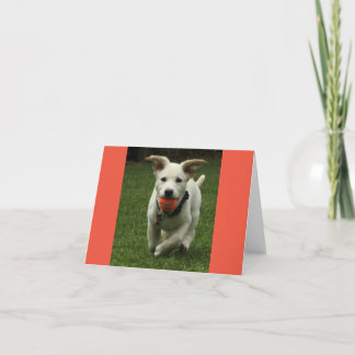 Puppy with Ball Birthday card