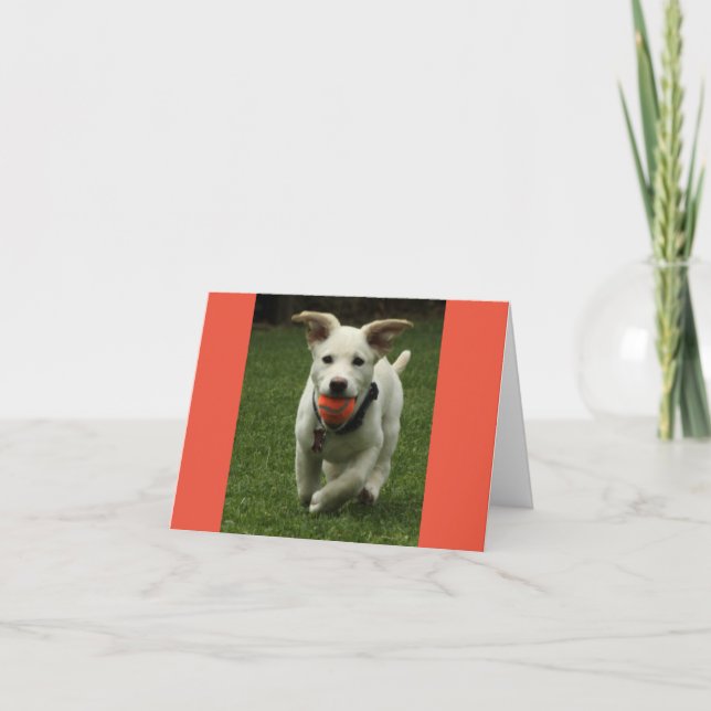 Puppy with Ball Birthday card (Front)