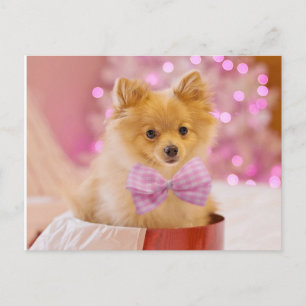 Puppy with Bow Postcard