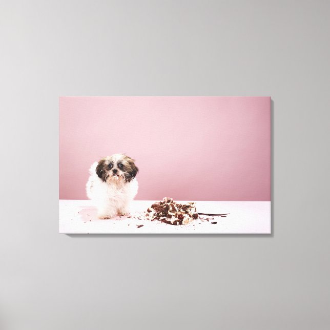 Puppy with cake on floor canvas print (Front)
