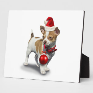 Puppy with christmas hat and Ball Plaque