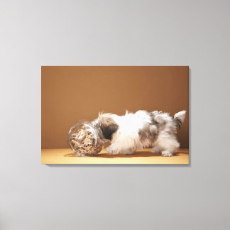 Puppy with head in cookie jar canvas print