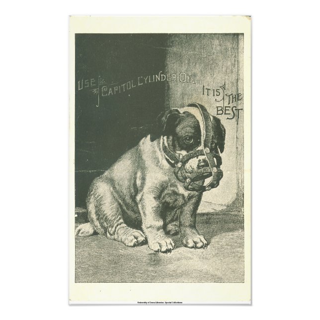 Puppy with Muzzle Ephemera Photo Print (Front)