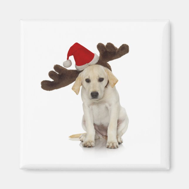 Puppy with Santa Hat and Reindeer Ears Magnet (Front)