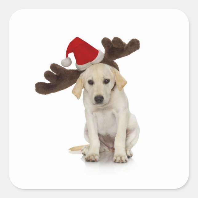 Puppy with Santa Hat and Reindeer Ears Square Sticker (Front)