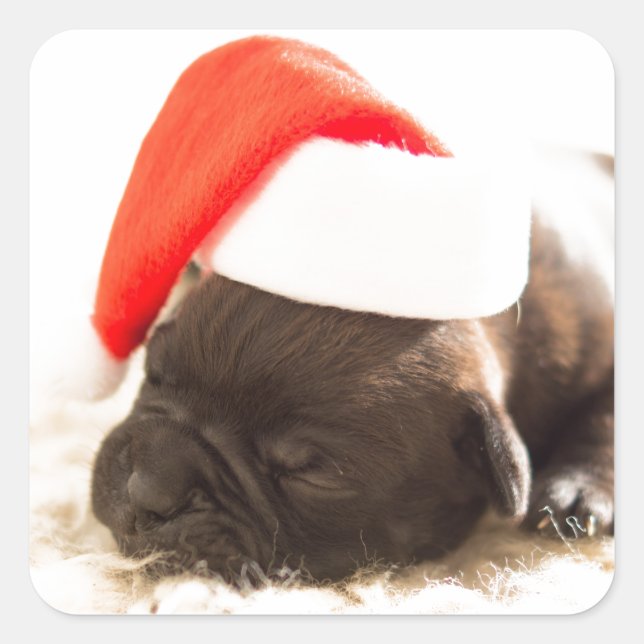 PUPPY WITH Santa hat STICKER (Front)
