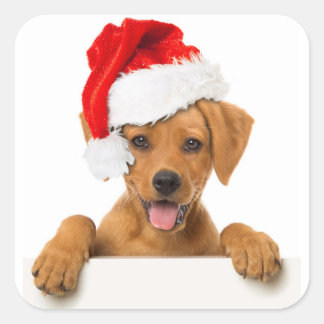 PUPPY WITH Santa hat STICKER ENVELOPE SEAL