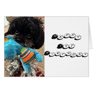 PUPPY WITH TOY SAYS YOU ARE TURNING ****1****