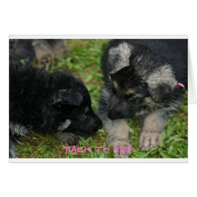 Pups (Front Horizontal)