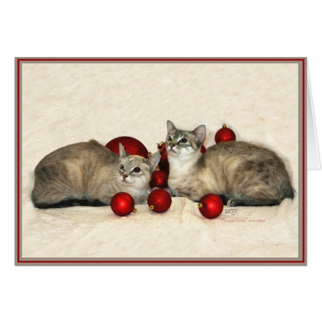 PUPs Card Kitties 9 (Front Horizontal)