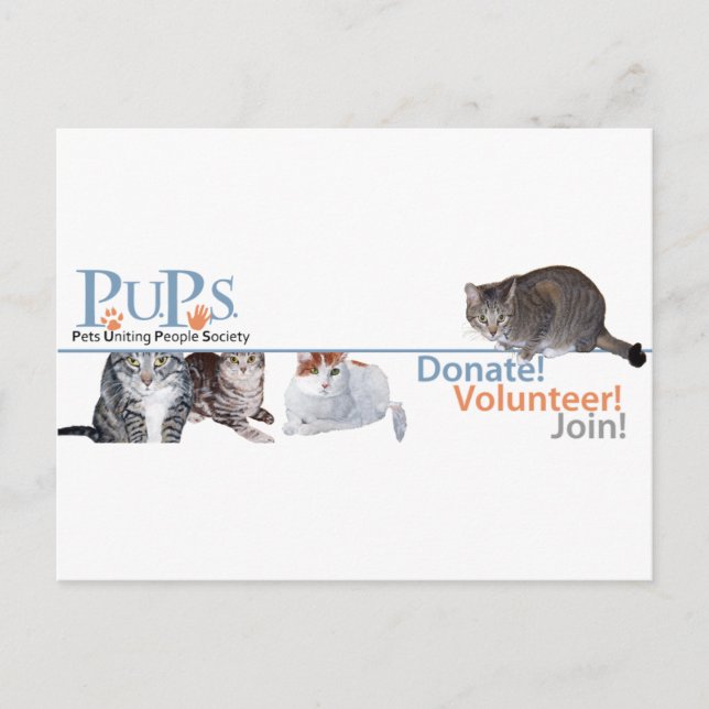 PUPs Logo Merchandise with Cats Postcard (Front)