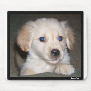 Pupy eyes mouse pad
