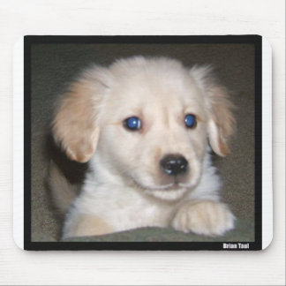Pupy eyes mouse pad